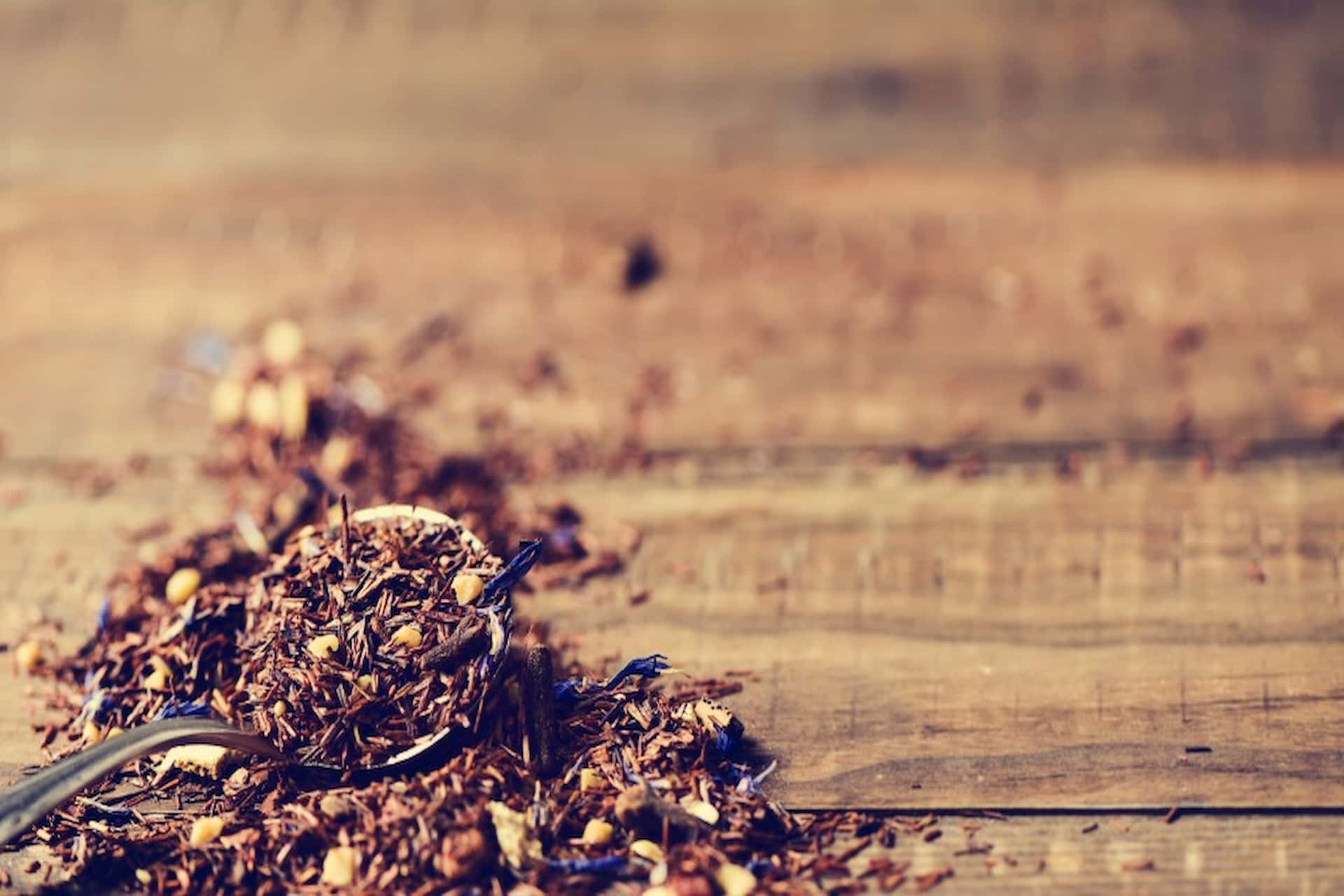 Rooibos proprietà dell'infuso dai vari benefici per l'organismo